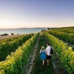 New Zealand Luxury Wine Tour
